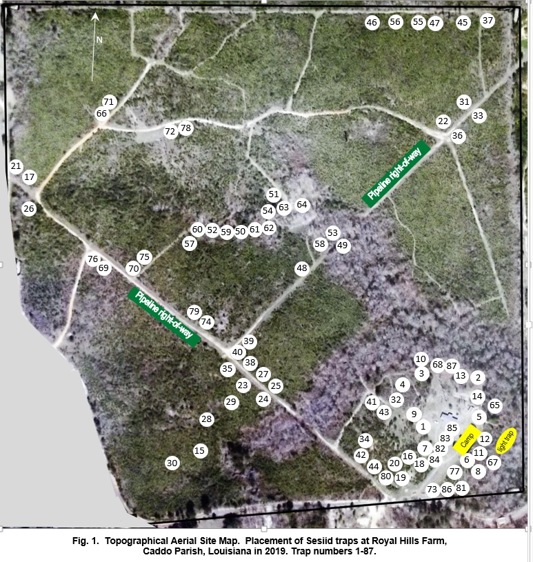 map of traps 1-87 Caddo Parish.jpg