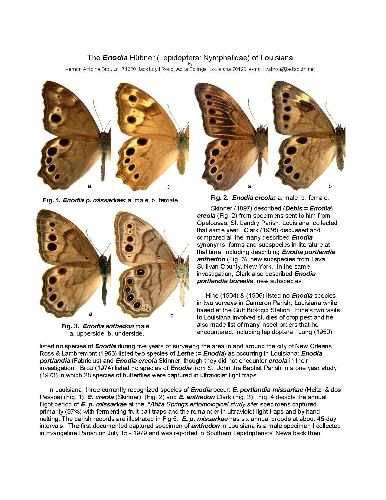2013. 258. The Enodia Hübner (Lepidoptera, Nymphalidae) of Louisiana._Page_1.jpg