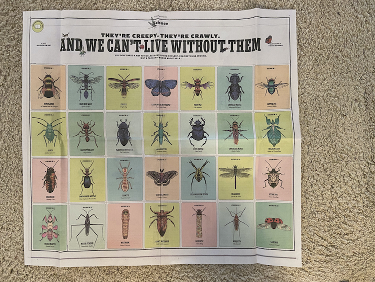 NYT bug spread small.jpg