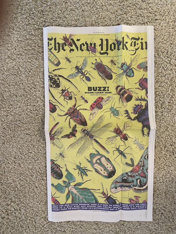 NYT cover small.jpg