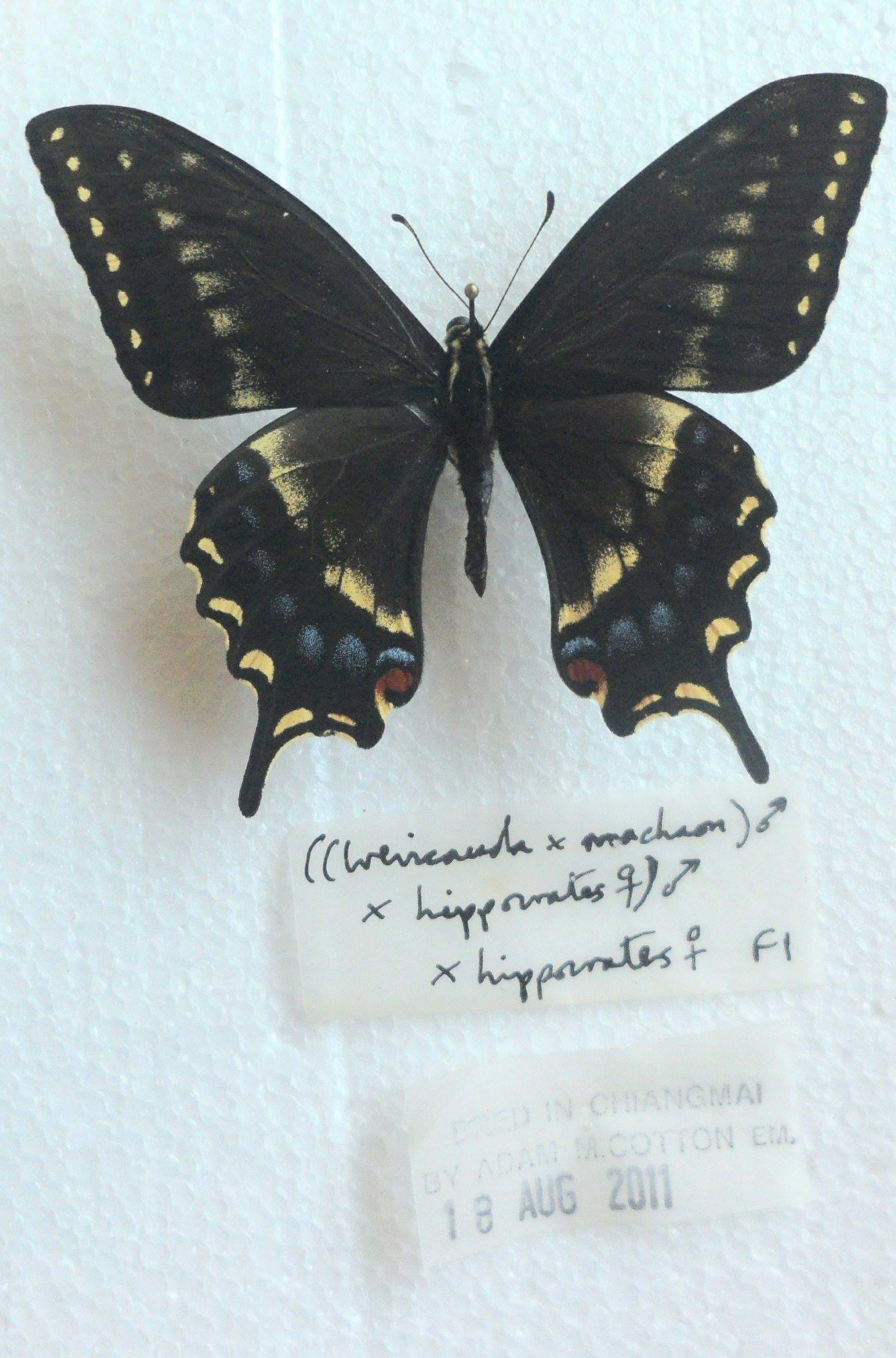 20200903_235940.jpg