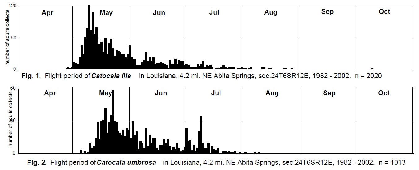 phenogram comparisons of C. ilia vs C. umbrosa.jpg