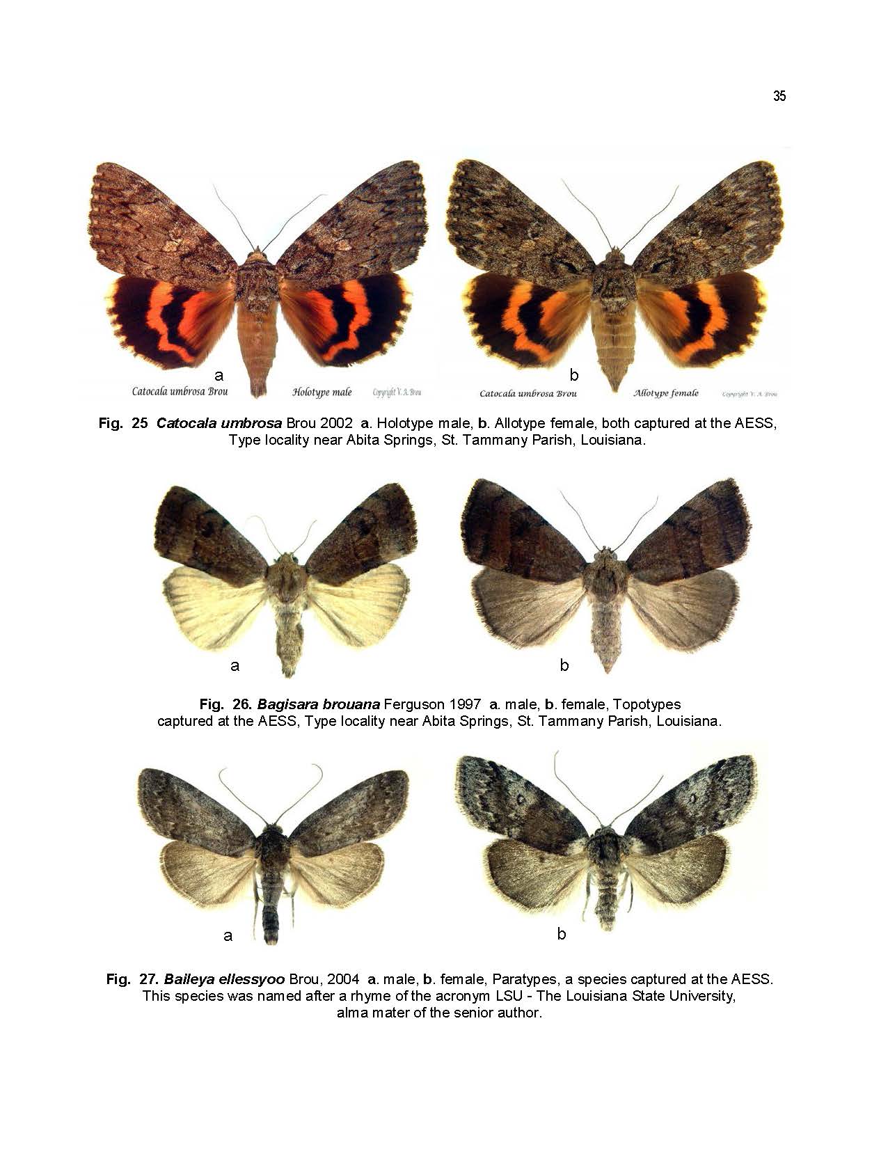 Abita Entomological Study Site  Master 2022-7-15 at 1014 pm..  p.1-51_Page_35.jpg
