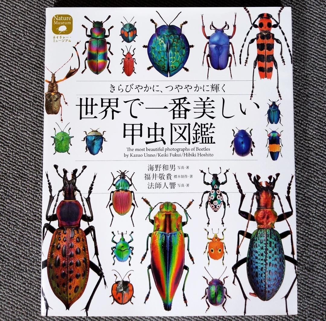Beautiful Beetles Japanese Book.jpg