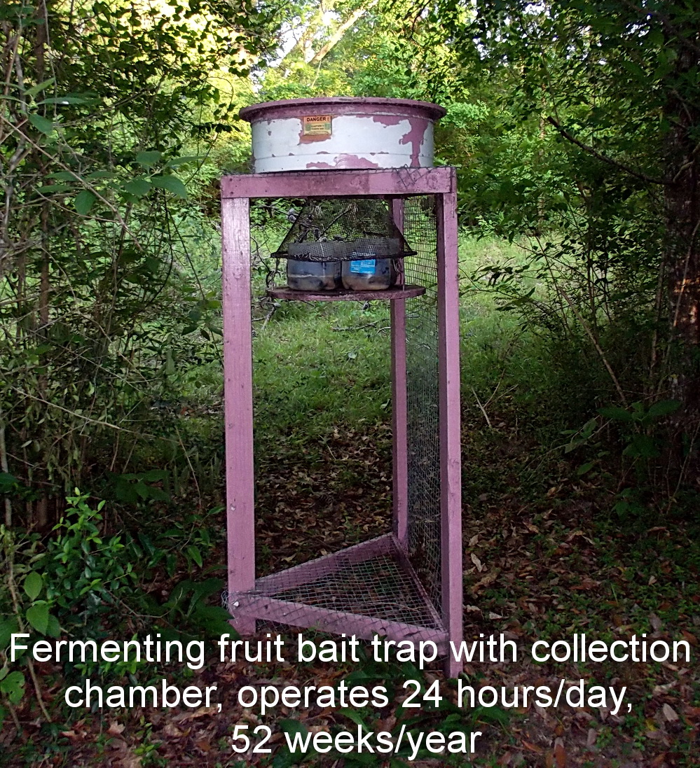 bait trap with text 1000 pix.jpg