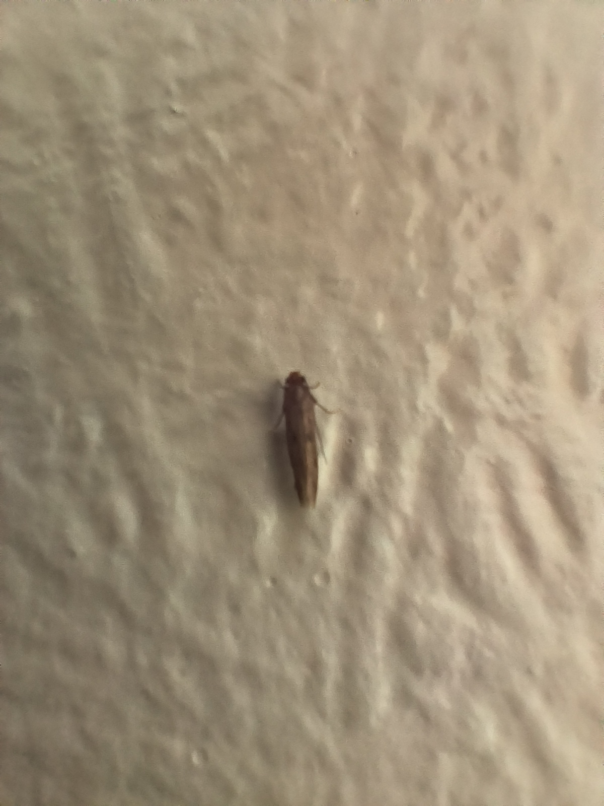 IMG20240621112315.jpg