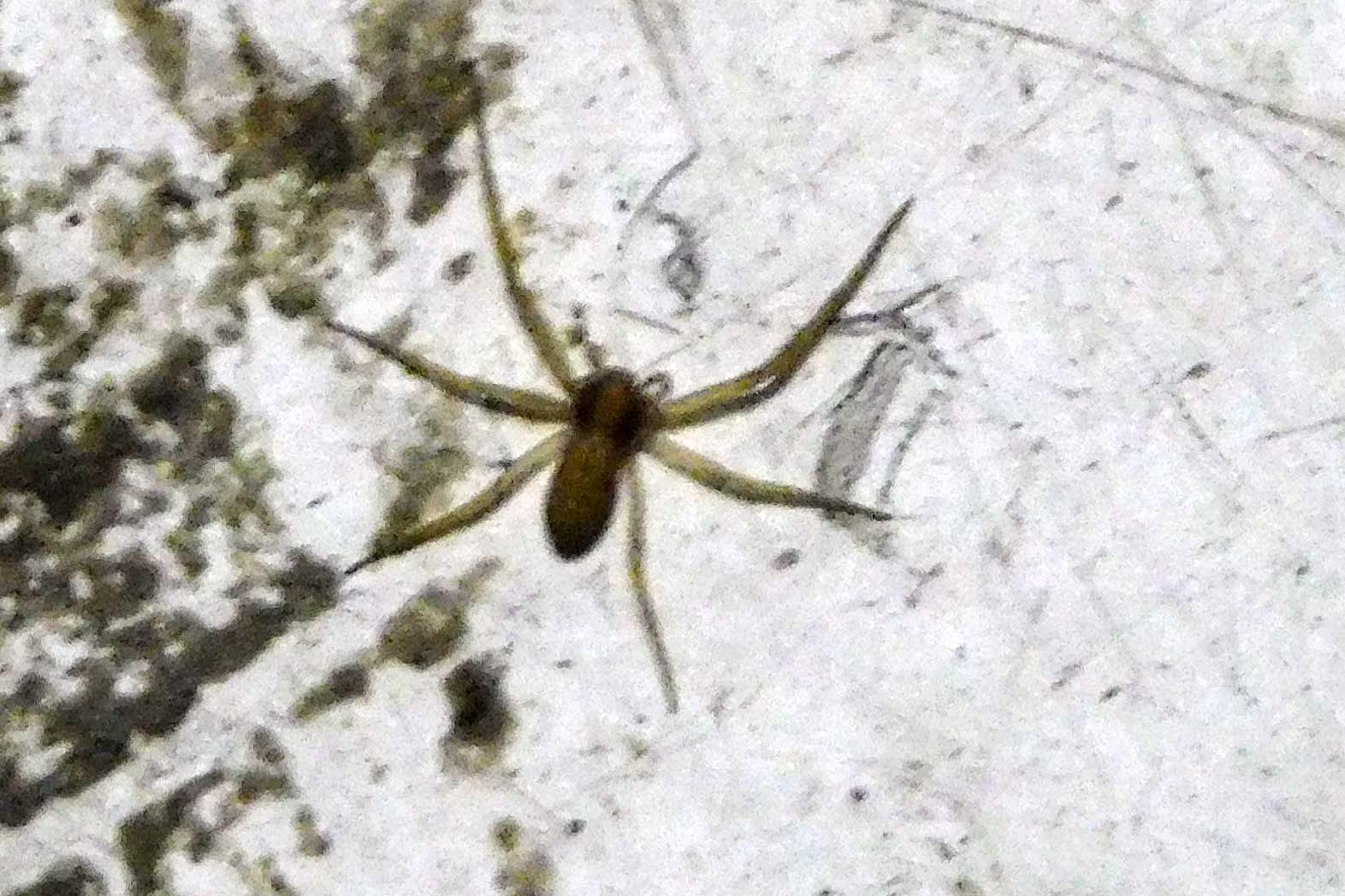 DSCN7377.JPG