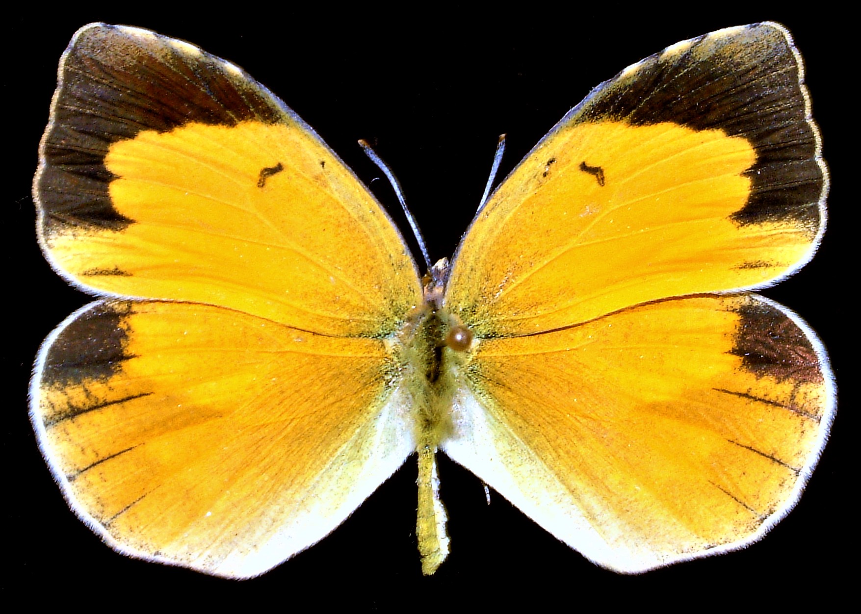 DSCF0012.JPG