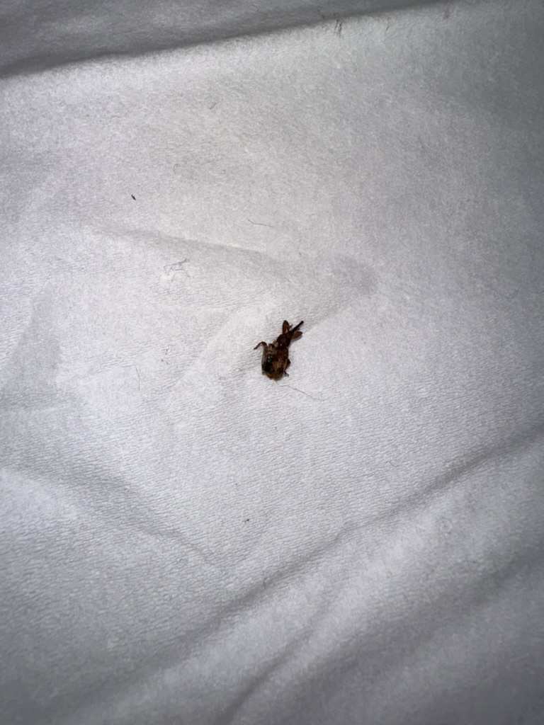 1D9F2036-42E0-4EAB-8394-63CEC1EFD644_1_105_c.jpeg