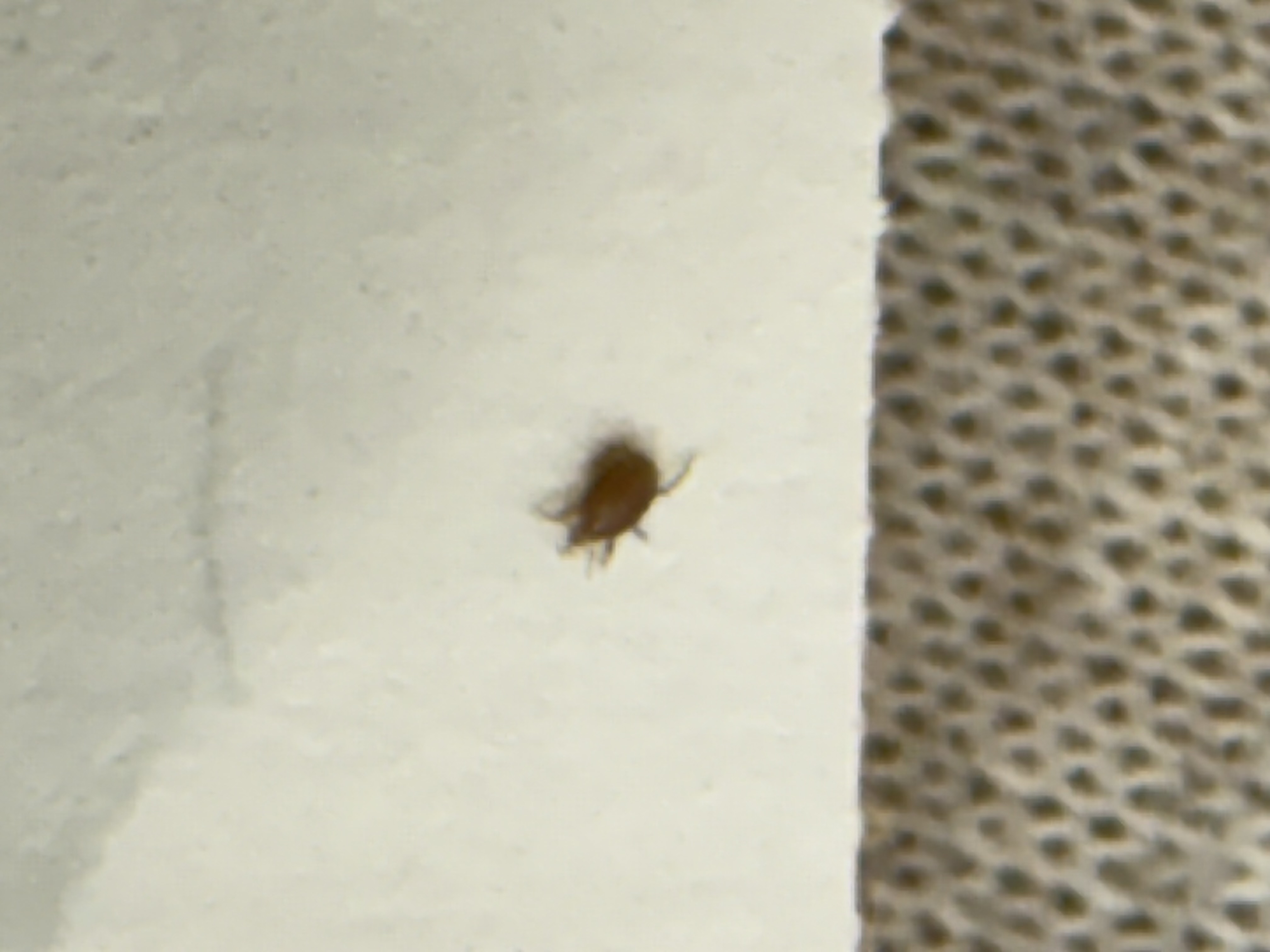 IMG_2839.jpeg