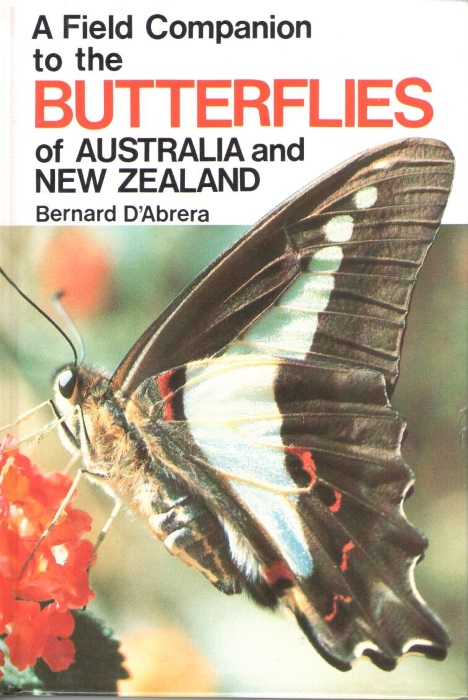 book image.jpg