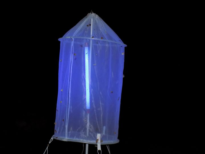 UV stand.JPG