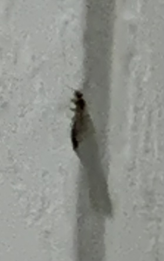 IMG_3117.jpeg