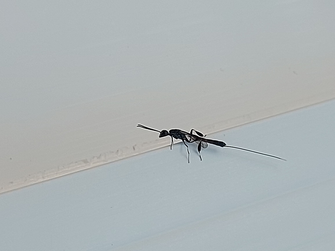 20230720_070841.jpg