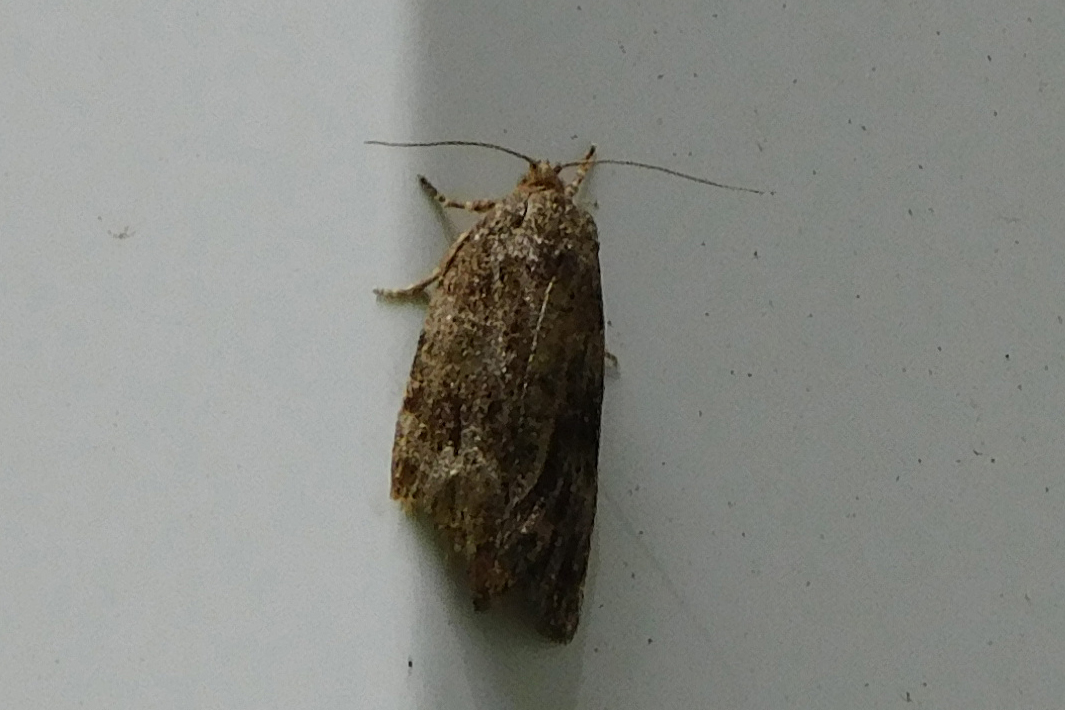 DSCN3865.JPG